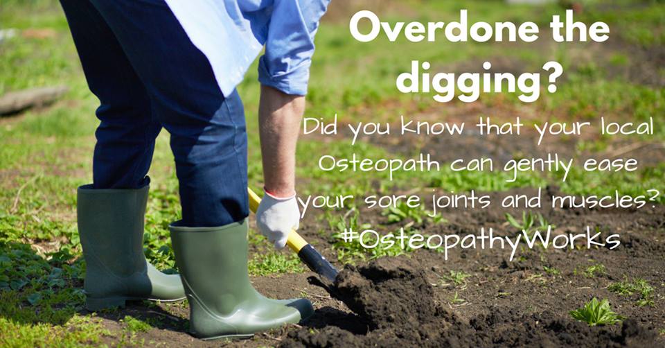 40480798-10f4-4349-b5a5-2bd5d5538479