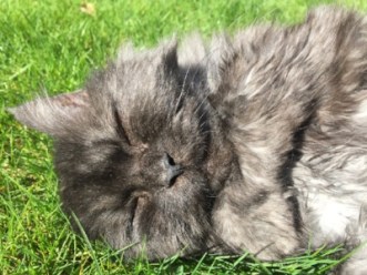 ec725b1e-eef3-456b-bde4-cb02343cf88e